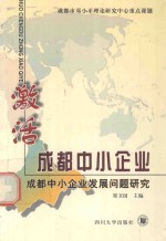 激活成都中小企业 成都中小企业发展问题研究