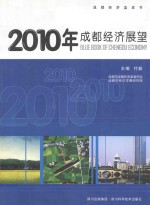 2010年成都经济展望