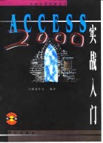 Access 2000实战入门