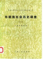 中国少数民族社会历史调查资料丛刊  布朗族社会历史调查  1