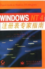 Windows NT4注册表专家指南