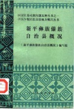 新平彝族傣族自治县概况