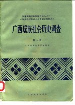 广西瑶族社会历史调查 第6册