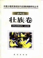 中国少数民族现状与发展调查研究丛书 武鸣县壮族卷