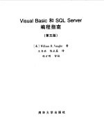 Visual Basic和SQL Server编程指南 第5版