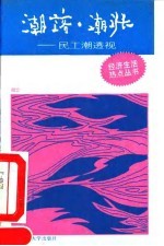 潮落、潮涨 民工潮透视