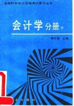 全国财务会计资格考试复习丛书 会计学分册 下