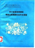 中国少数民族社会历史调查资料丛刊 四川省苗族傈僳族傣族白族满族社会历史调查