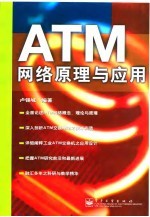 ATM网络原理与应用