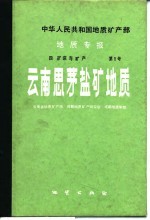 中华人民共和国地质矿产部地质专报  4  矿床与矿产  第1号  云南思茅盐矿地质