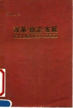 改革稳定发展  稳中求进的改革与发展战略