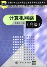 中国计算机软件专业技术水平考试指定用书 计算机网络 高级