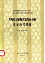 中国少数民族社会历史调查资料丛刊 青海省回族撒拉族哈萨克族社会历史调查