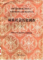 中国少数民族社会历史调查资料丛刊  藏族社会历史调查  5