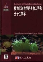 植物代谢途径的生物工程和分子生物学 导读版