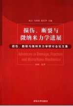 损伤、断裂与微纳米力学进展  损伤、断裂与微纳米力学研讨会论文集