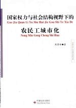 国家权力与社会结构视野下的农民工城市化