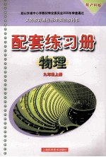 配套练习册物理 九年级 上