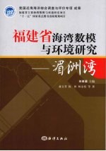 福建省海湾数模与环境研究 湄洲湾