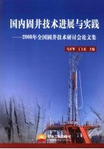 国内固井技术进展与实践 2008年全国固井技术研讨会论文集