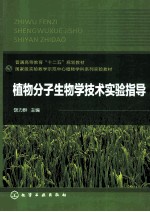 普通高等教育“十二五”规划教材 植物分子生物学技术实验指导