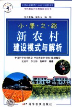 新农村建设模式与解析