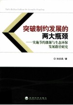 突破制约发展的两大瓶颈 实施节约能源与生态环保发展路径研究