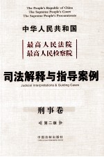 最高人民法院最高人民检察院司法解释与指导案例 刑事卷