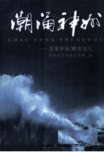 潮涌神州 改革开放30年巡礼