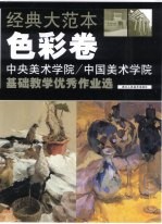 经典大范本 色彩卷 中央美术学院/中国美术学院基础教学优秀作业选