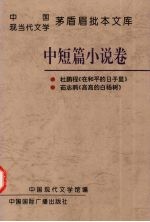 中国现当代文学茅盾眉批本文库 中短篇小说卷 3