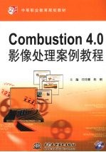 Combustion 4.0影像处理案例教程