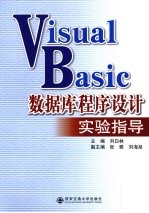 Visual Basic数据库程序设计实验指导