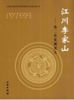 江川李家山 第二次发掘报告