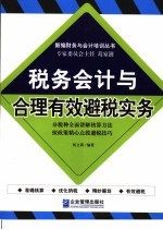 税务会计与合理有效避税实务