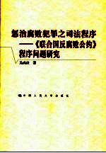 惩治腐败犯罪之司法程序  《联合国反腐败公约》程序问题研究