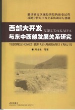 西部大开发与东中西部发展关系研究