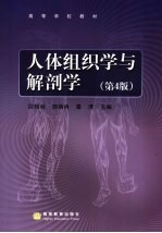 人体组织学与解剖学