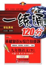 一练通 语文版 九年级语文 下