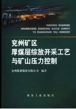 兖州矿区厚煤层综放开采工艺与矿山压力控制