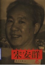 广西当代作家丛书 宋安群卷