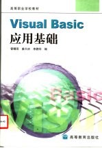 Visual Basic应用基础