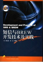 短信与BREW开发技术及实践