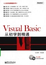 Visual Basic从初学到精通