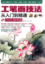 工笔画技法从入门到精通 DVD教学版