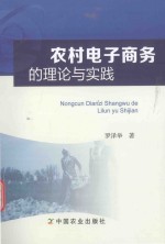 农村电子商务的理论与实践