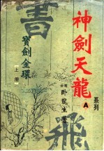 宝剑金环 上