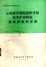 云南思茅拗陷勐野井组盐类矿床特征及成钾条件分析