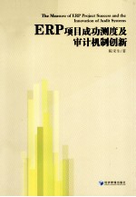 ERP项目成功测度及审计机制创新