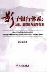 影子银行体系 功能、脆弱性与监管改革